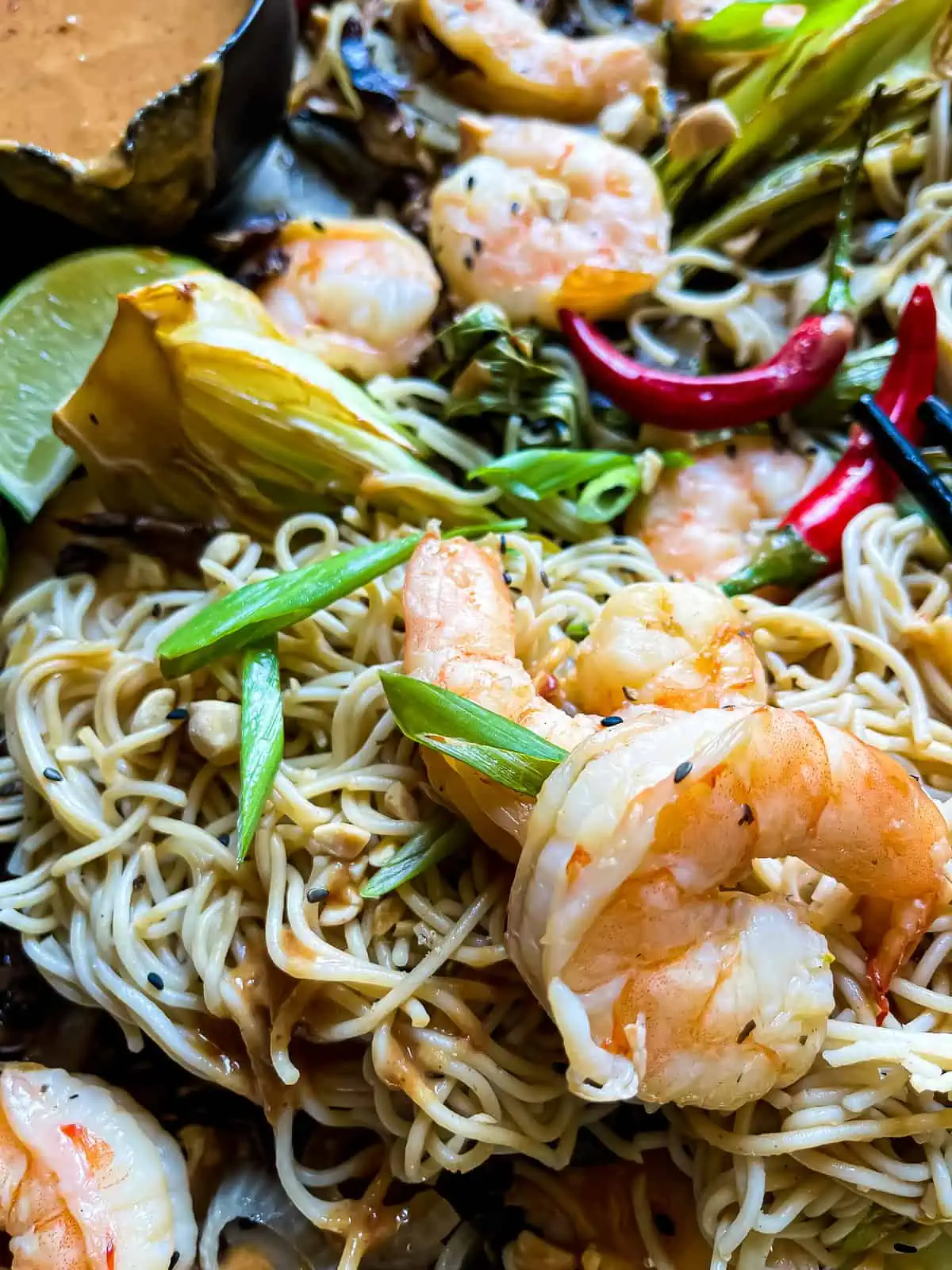 Asian style shrimp with noodles, garnished with a peanut sauce and green onion tops