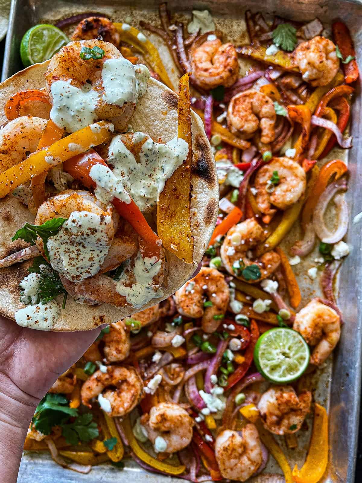 corn tortillas with shrimp, roasted peppers and onions, with a tangy jalapeno ranch