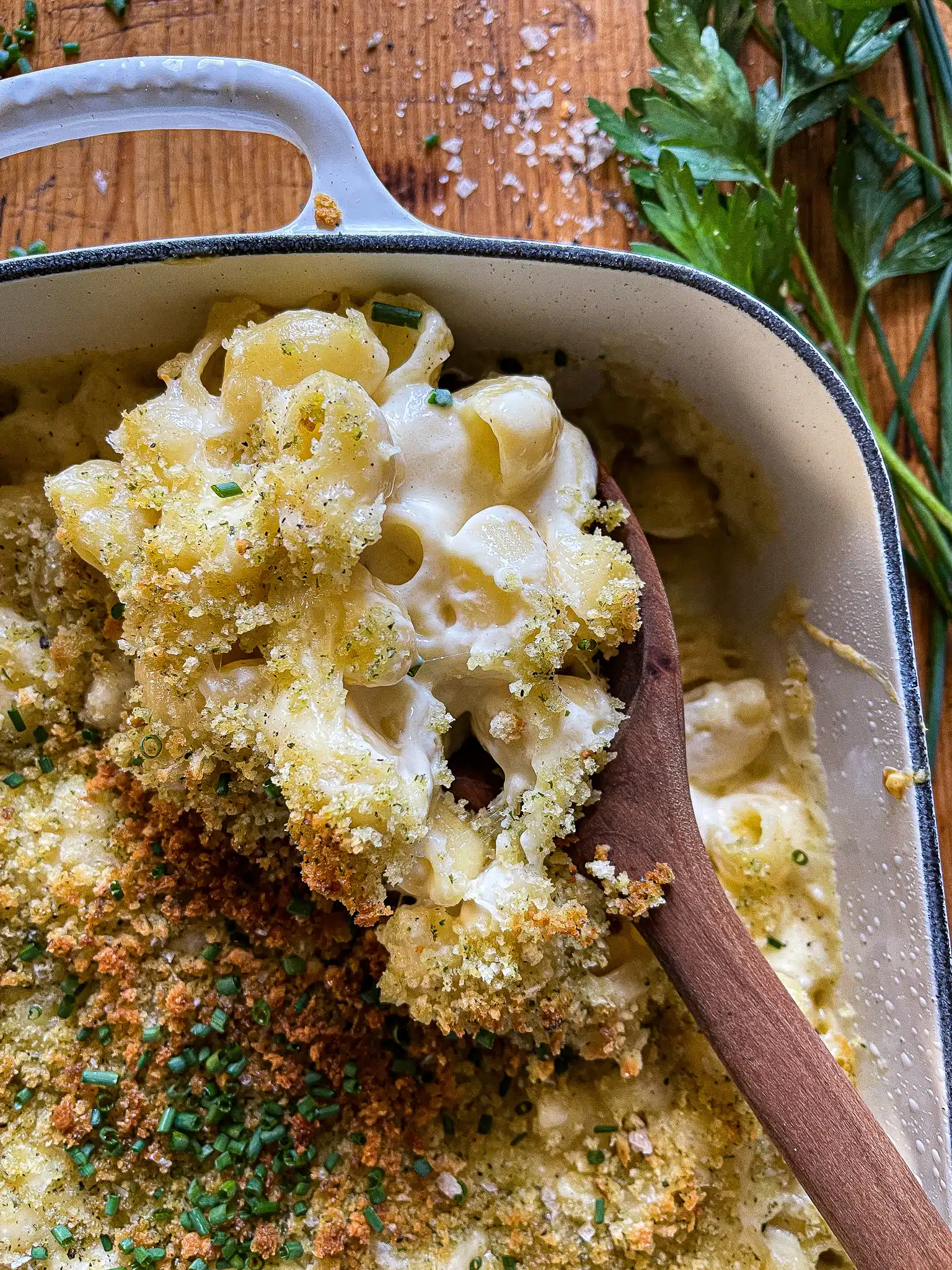 This is picture of a close up spoonful of creamy mac and cheese.