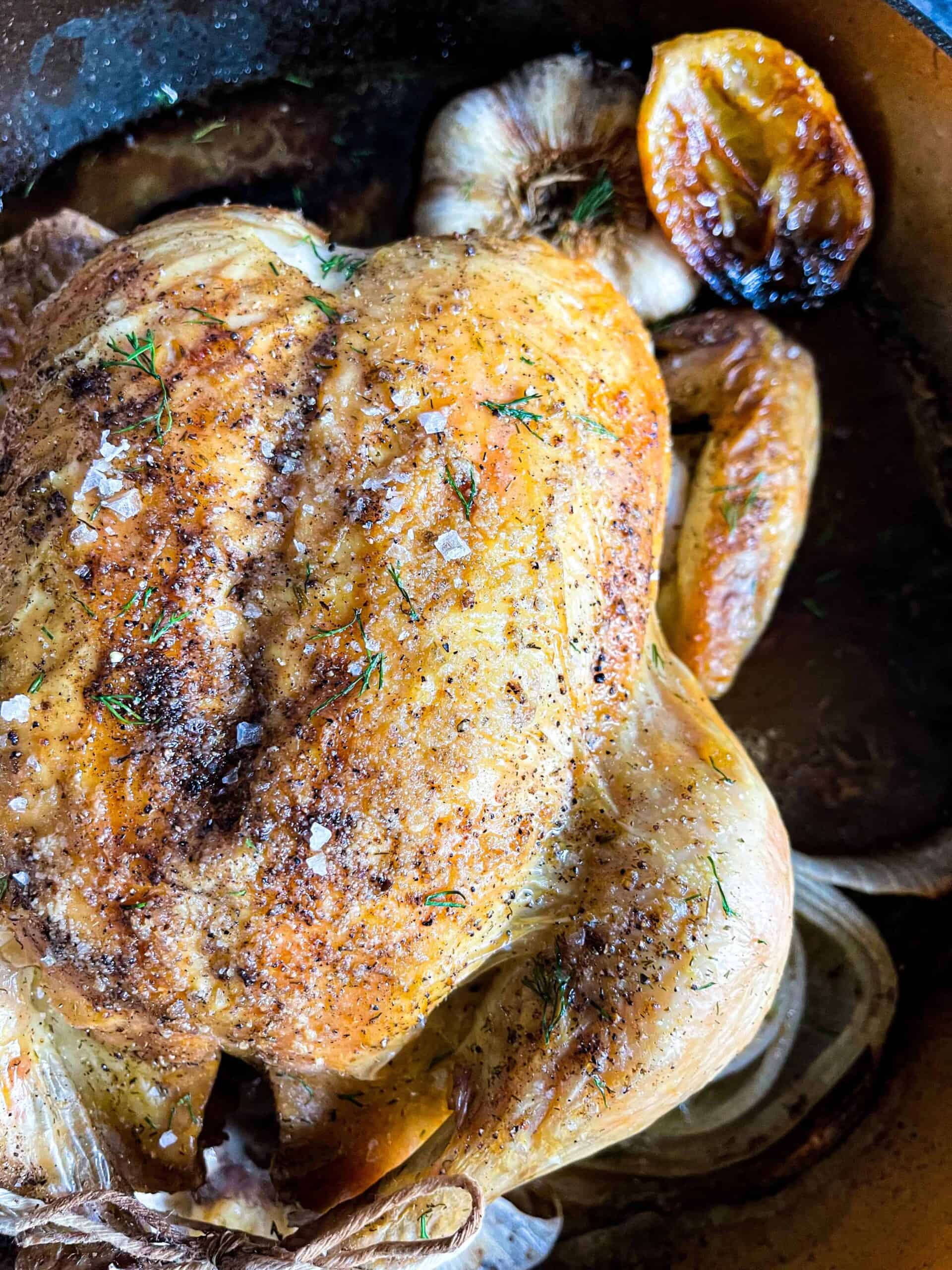 Roasted Chicken scaled