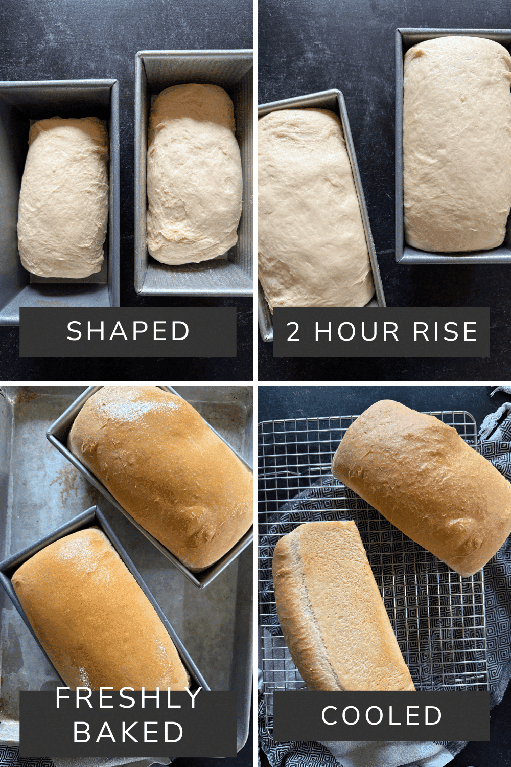 this is a picture of freshly shaped, risen, freshly baked and cooled loaves of sandwich bread