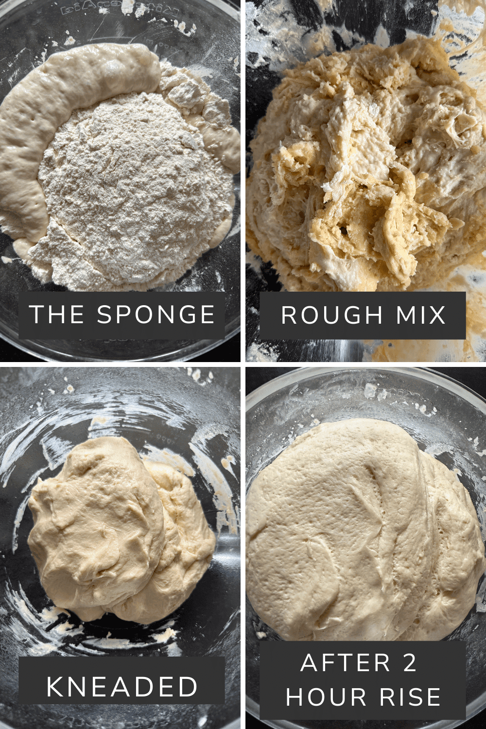 this is a picture of the sponge, the rough mix, the kneaded dough, and the risen dough for the sandwich bread