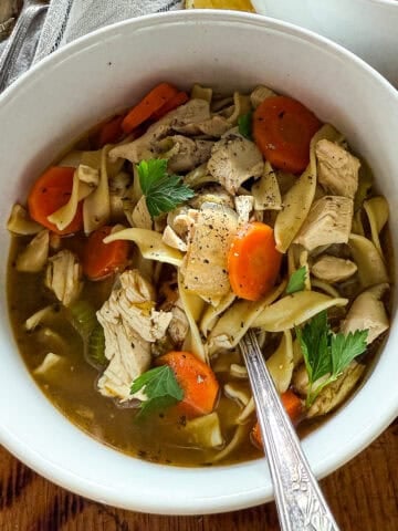 chicken noodle feature